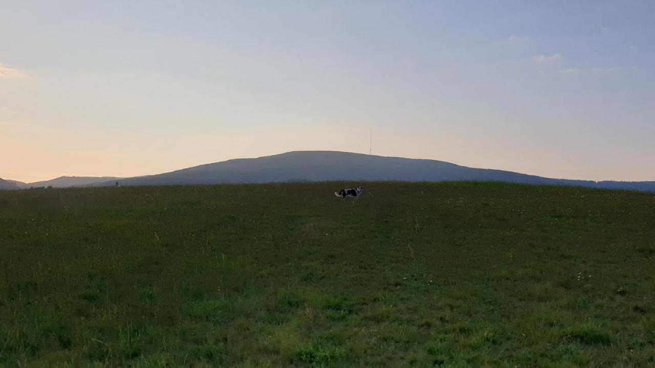 Studio Kaline Sandberg Zewnętrze zdjęcie